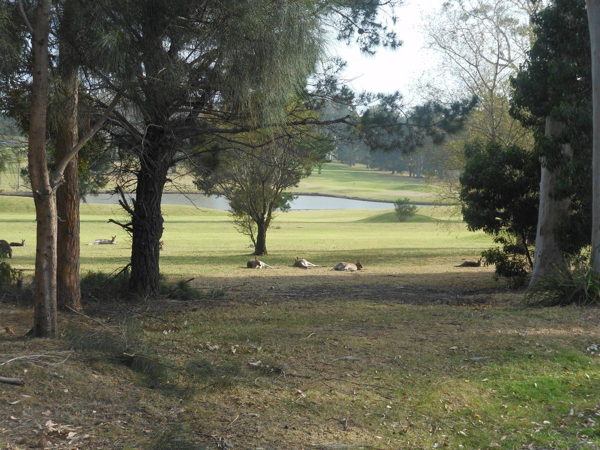 Golf View Motel Sanctuary Point Zewnętrze zdjęcie